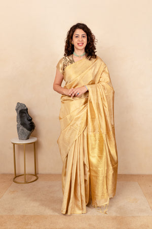 Radiant Gold Tissue Silk Saree with Contrast Ikat Blouse