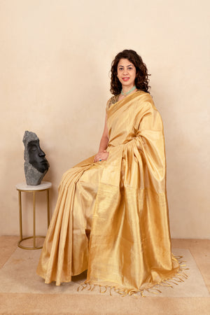 Radiant Gold Tissue Silk Saree with Contrast Ikat Blouse