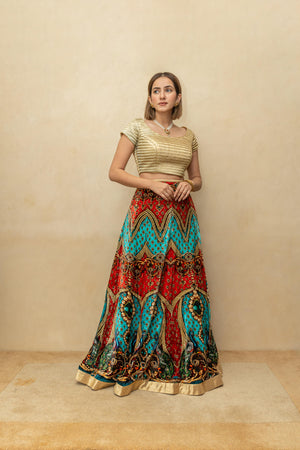 Gold and multicoloured digital print velvet lehenga set