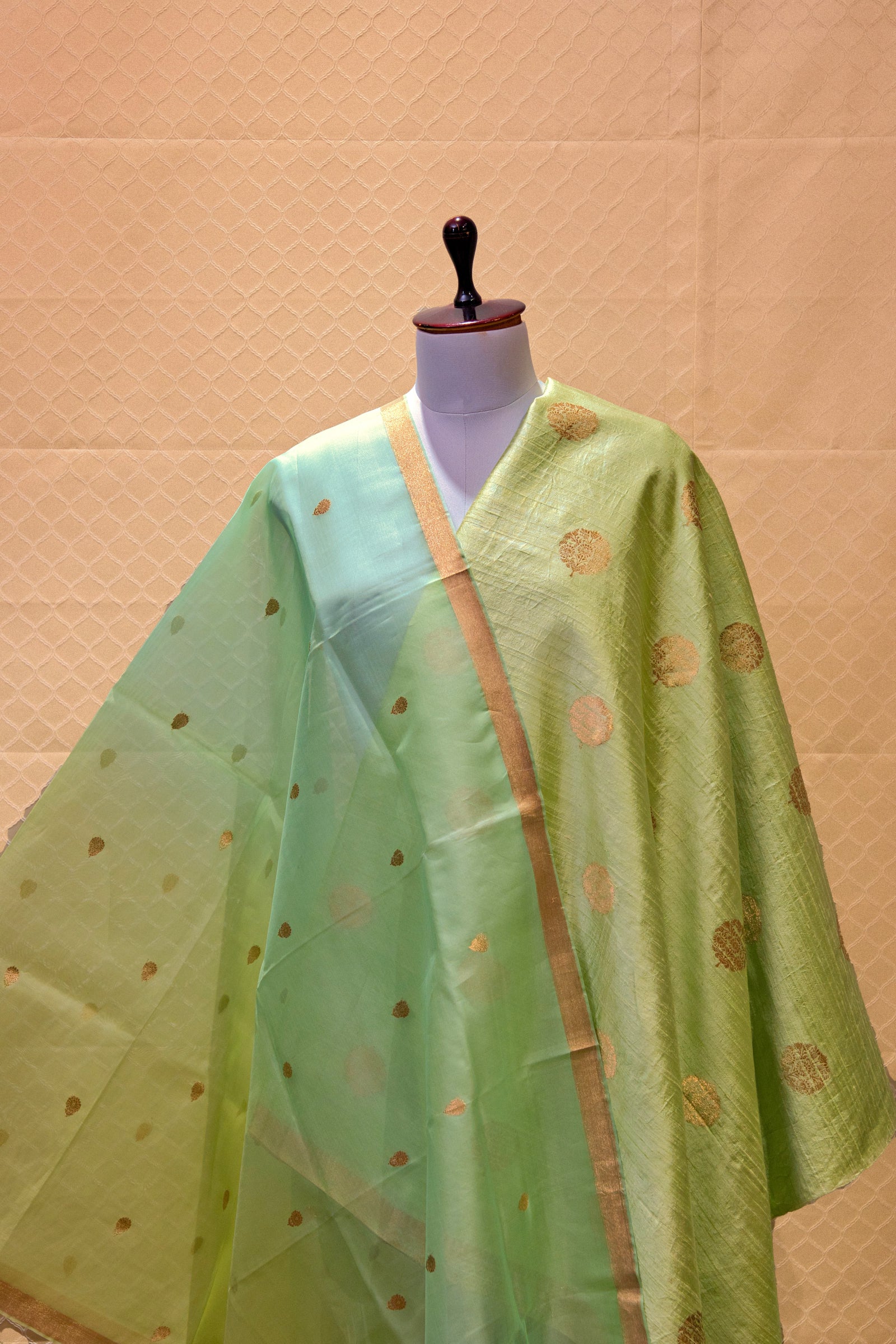 Mint green Banarasi silk suit