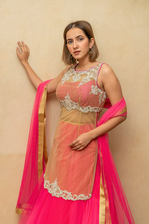 Hot Pink and Gold Sheer Blouse Lehenga Set