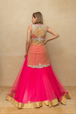 Hot Pink and Gold Sheer Blouse Lehenga Set
