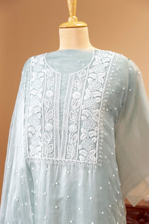 Powder Blue Chikankari Organza Unstitched Suit Set | Label Tamanna