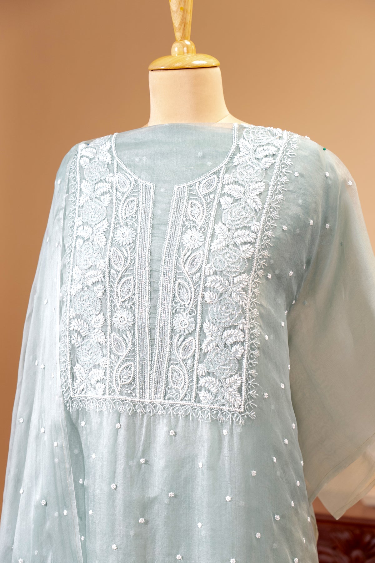 Powder Blue Chikankari Organza Unstitched Suit Set | Label Tamanna