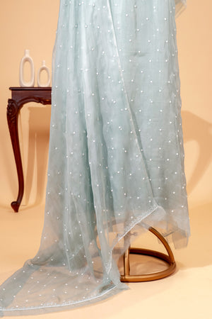 Powder Blue Chikankari Organza Unstitched Suit Set | Label Tamanna