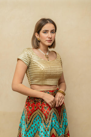 Gold and multicoloured digital print velvet lehenga set