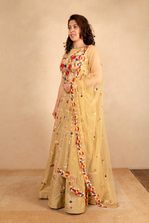 Gold beige indo western anarkali gown